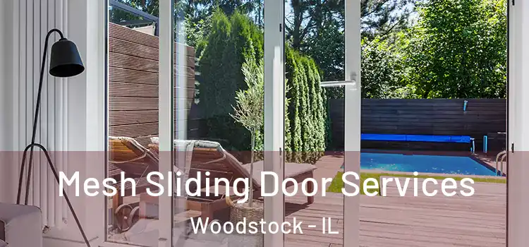 Mesh Sliding Door Services Woodstock - IL